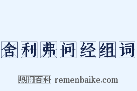 舍利弗问经组词是什么意思的图片